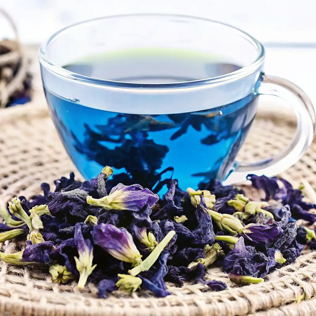 butterfly pea flower 3